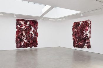 Anish Kapoor